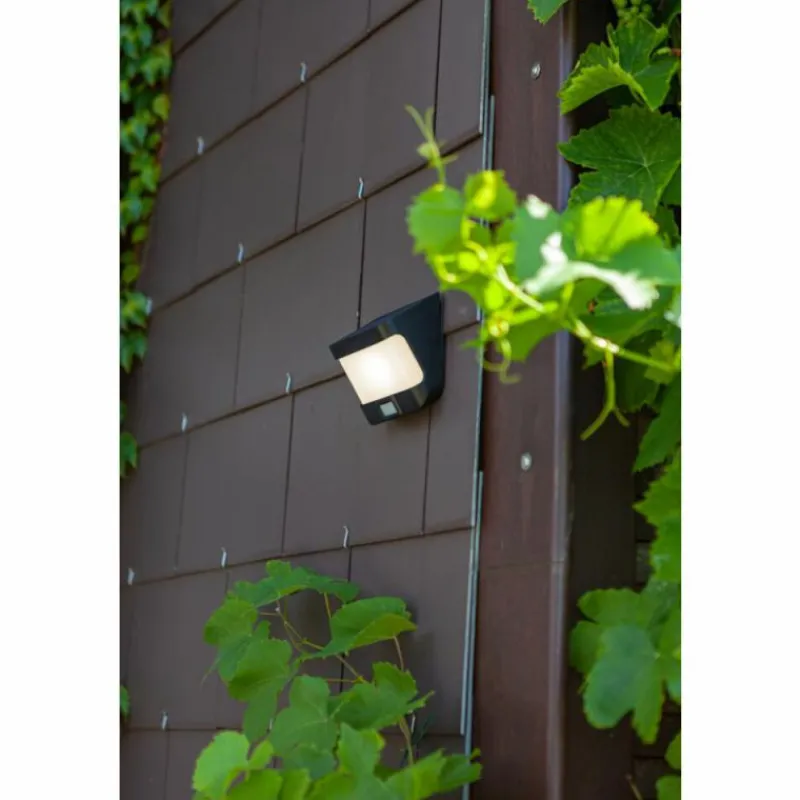 Luminaires Lutec Lampe solaires Lutec TRY LED Anthracite, 1 lumière, Détecteur de mouvement