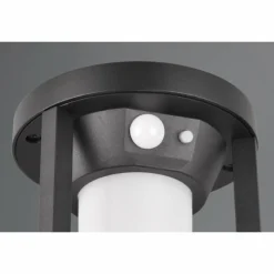Luminaires Trio Lampe solaires Trio Carmo LED Noir, 1 lumière, Détecteur de mouvement