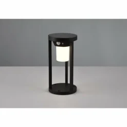 Luminaires Trio Lampe solaires Trio Carmo LED Noir, 1 lumière, Détecteur de mouvement