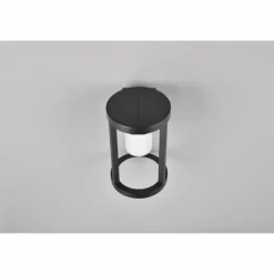 Luminaires Trio Lampe solaires Trio Carmo LED Noir, 1 lumière, Détecteur de mouvement