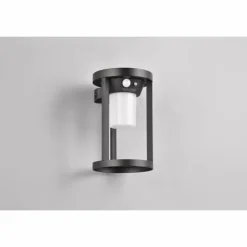 Luminaires Trio Lampe solaires Trio Carmo LED Noir, 1 lumière, Détecteur de mouvement