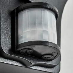 Luminaires Rustiques-hofstein Lavajo Luminaire extérieur, Lampe murale d´extérieur Noir, 1 lumière, Détecteur de mouvement