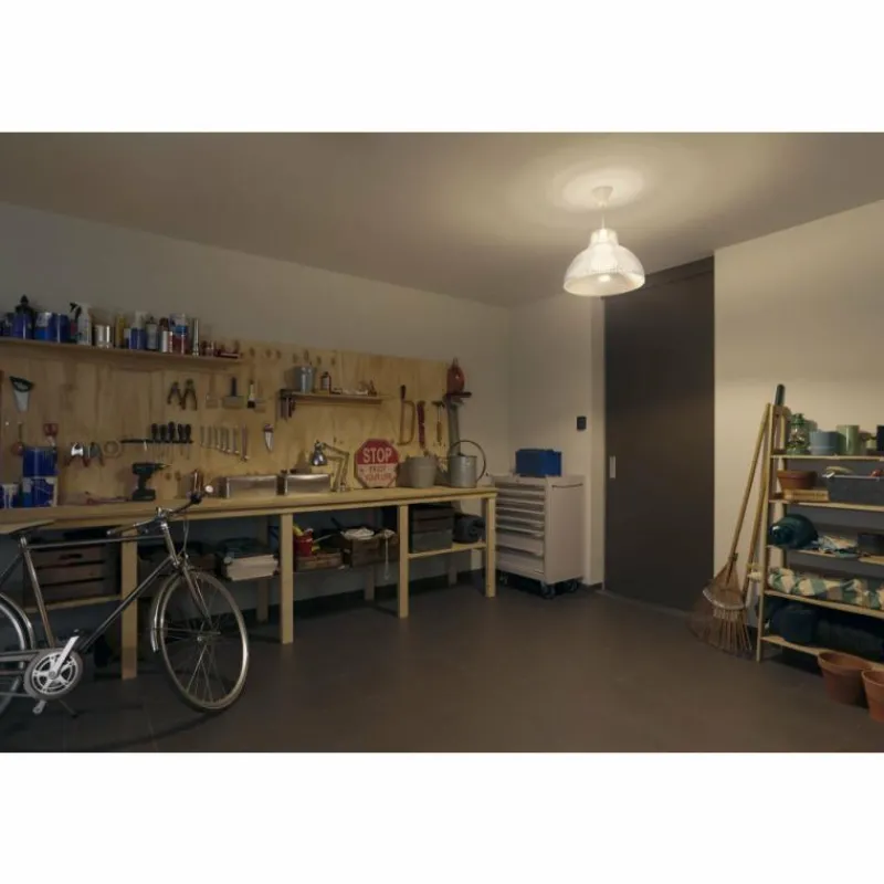 Luminaires Philips LED E27 15,5 Watt 2200 - 6500 Kelvin 1100 Lumen Philips Hue White