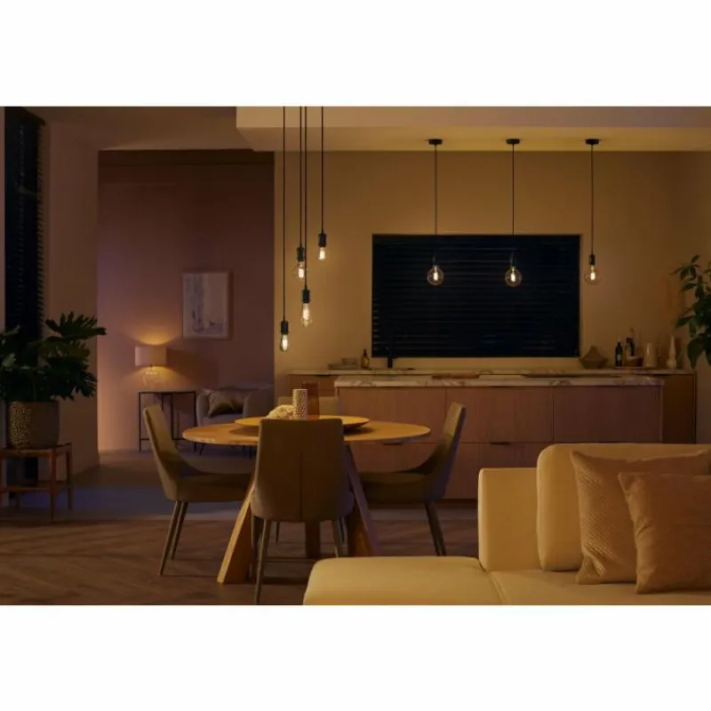 Luminaires Philips LED E27 7 Watt 2200 - 4500 Kelvin 550 Lumen Philips Hue White Ambiance