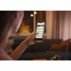 Luminaires Philips LED E27 6 Watt 2200 - 6500 Kelvin 570 Lumen Philips Hue White Ambiance