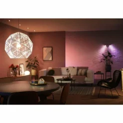 Luminaires Philips LED E27 15 Watt 2200 - 6500 Kelvin 1200 Lumen Philips Hue White & Color Ambiance