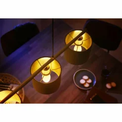 Luminaires Philips LED E14 5,5 Watt 2700 Kelvin 470 Lumen Philips Hue White