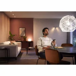 Luminaires Philips LED E27 9 Watt 2700 Kelvin 800 Lumen Philips Hue White
