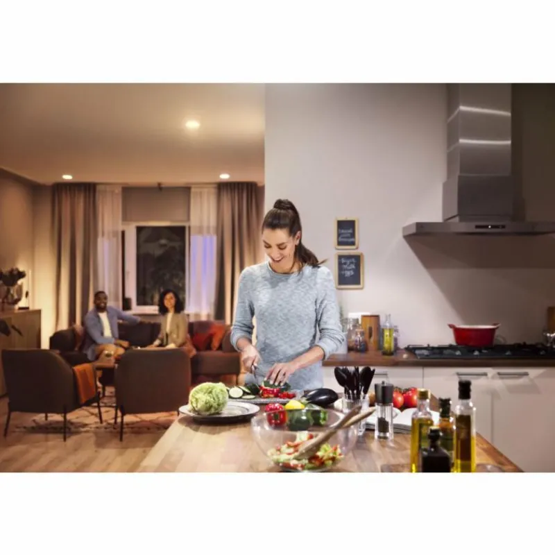 Luminaires Philips LED E27 9,5 Watt 2700 Kelvin 1050 Lumen Philips Hue White