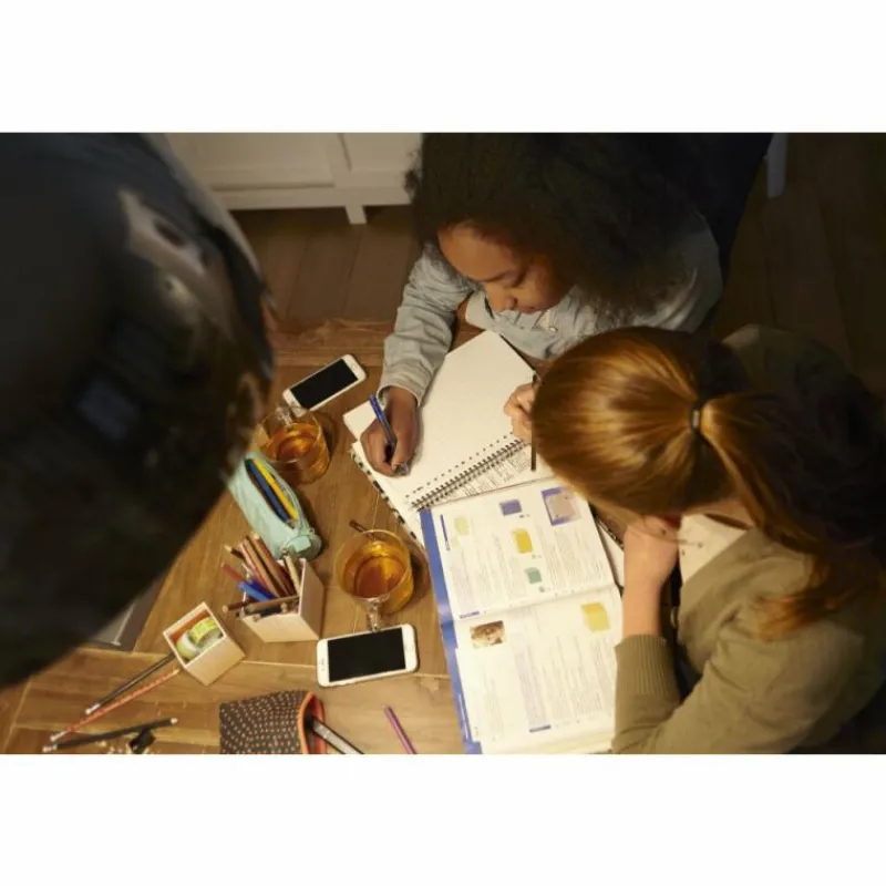 Luminaires Philips LED GU5.3 2,9 Watt 2700 Kelvin 230 Lumen Philips