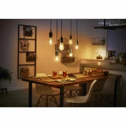 Luminaires Philips LED White Filament Globe E27 7 Watt 2100 Kelvin 600 Lumen Philips Hue