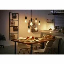 Luminaires Philips LED White Filament Globe E27 7 Watt 2100 Kelvin 600 Lumen Philips Hue