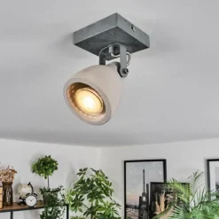 Lampes Industrielles-hofstein Lomma Plafonnier, Spot de plafond Acier brossé, 1 lumière