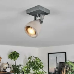 Lampes Industrielles-hofstein Lomma Plafonnier, Spot de plafond Acier brossé, 1 lumière