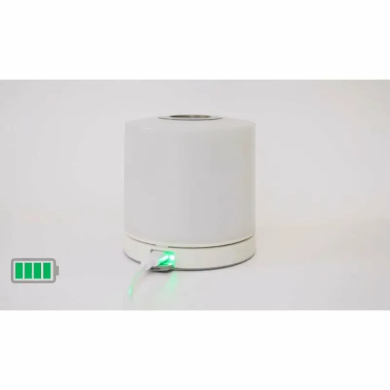 Luminaires Lutec Lot de 2 lampes solaires Lutec NOMA LED Blanc, 2 lumières, Changeur de couleurs