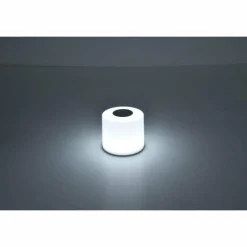 Luminaires Lutec Lot de 2 lampes solaires Lutec NOMA LED Blanc, 2 lumières, Changeur de couleurs