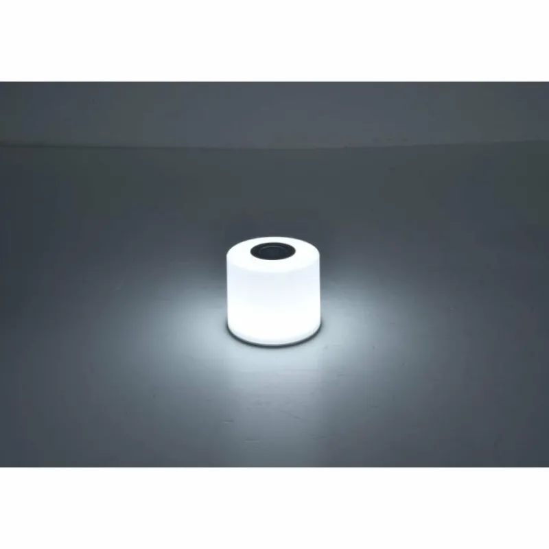 Luminaires Lutec Lot de 2 lampes solaires Lutec NOMA LED Blanc, 2 lumières, Changeur de couleurs