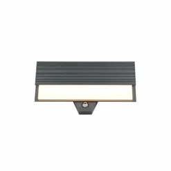 Luminaires Trio MARIZA Applique murale LED Anthracite, 1 lumière, Détecteur de mouvement