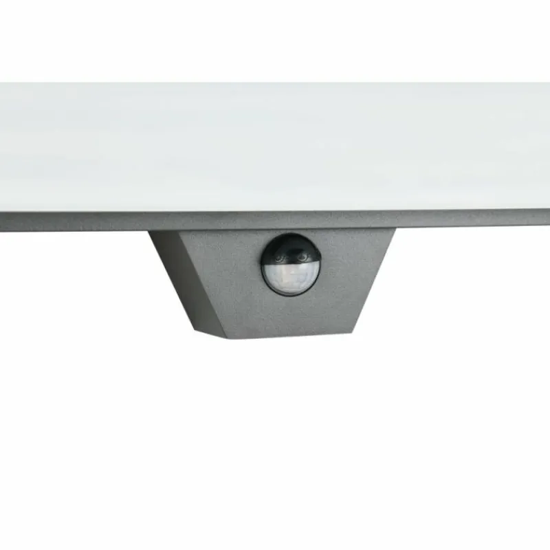 Luminaires Trio MARIZA Applique murale LED Anthracite, 1 lumière, Détecteur de mouvement