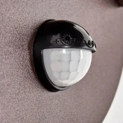 hofstein Martinha Lampe murale d´extérieur Rouille, 1 lumière, Détecteur de mouvement