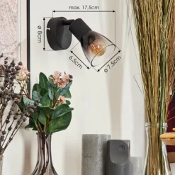 hofstein Medelim Applique murale, Spot mural Clair, Fumé, 1 lumière