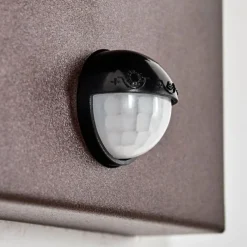 hofstein Monfanim Lampe murale d´extérieur Rouille, 1 lumière