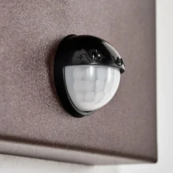 hofstein Monfanim Lampe murale d´extérieur Rouille, 1 lumière