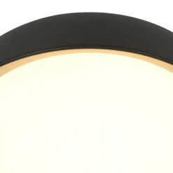 Lampes Dorées-Luminaires Steinhauer Mykty Plafonnier LED Or, Noir, 1 lumière