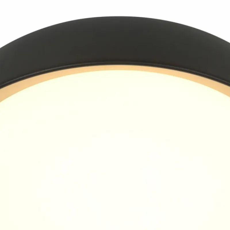 Lampes Dorées-Luminaires Steinhauer Mykty Plafonnier LED Or, Noir, 1 lumière