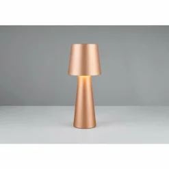 Luminaires Trio Nubian Lampe à poser Brun, 1 lumière* Lampes À Poser