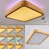 Lampes En Bois-hofstein Panneau LED Batamoto Bois clair, Blanc, 2 lumières, Télécommandes, Changeur de couleurs