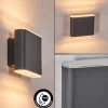 hofstein Paranhas Lampe murale d´extérieur, Luminaire de salle de bain, Luminaire Up & Down, Applique murale Anthracite, 1 lumière