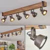 Lampes Industrielles-hofstein Pehefito Plafonnier, Spot de plafond Brun, Gris, 6 lumières