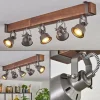 Lampes Industrielles-hofstein Pehefito Plafonnier, Spot de plafond Brun foncé, Gris, 5 lumières