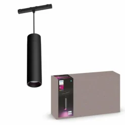 Luminaires Philips Pendule Philips Hue Perifo LED Noir, 1 lumière, Changeur de couleurs