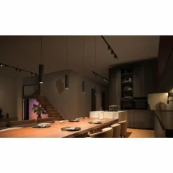 Luminaires Philips Pendule Philips Hue Perifo LED Noir, 1 lumière, Changeur de couleurs