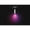 Luminaires Philips Pendule Philips Hue Perifo LED Blanc, 1 lumière, Changeur de couleurs