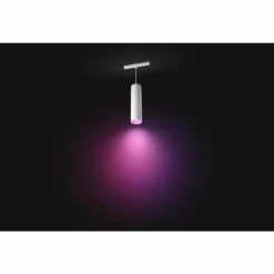 Luminaires Philips Pendule Philips Hue Perifo LED Blanc, 1 lumière, Changeur de couleurs