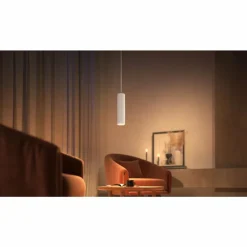 Luminaires Philips Pendule Philips Hue Perifo LED Blanc, 1 lumière, Changeur de couleurs