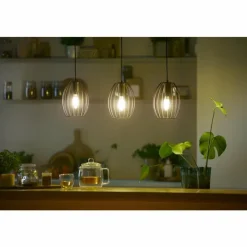 Luminaires Philips Philips Classic LED E14 2,3 watt 3000 Kelvin 485 lumen