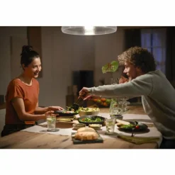 Luminaires Philips Philips HUE E27 15,5 Watt 2700 Kelvin 1600 Lumen