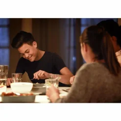 Luminaires Philips Philips LED E27 2,2 Watt 2700 Kelvin 250 Lumen