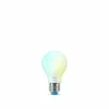 Luminaires Philips Philips WiZ LED E27 7 watt 2200-6500 kelvin 806 lumen
