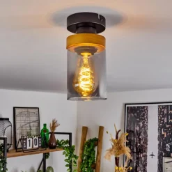 Suspension Verre Fumé-hofstein Plafonnier Amignon Noir, 1 lumière