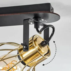 Lampes Industrielles-hofstein Plafonnier Bitterroot Noir, 2 lumières