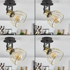 Lampes Industrielles-hofstein Plafonnier Bitterroot Noir, 1 lumière