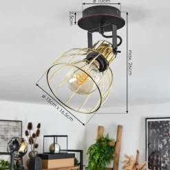 Lampes Industrielles-hofstein Plafonnier Bitterroot Noir, 1 lumière