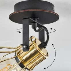 Lampes Industrielles-hofstein Plafonnier Bitterroot Noir, 1 lumière