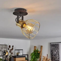 Lampes Industrielles-hofstein Plafonnier Bitterroot Noir, 1 lumière