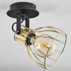 Lampes Industrielles-hofstein Plafonnier Bitterroot Noir, 1 lumière